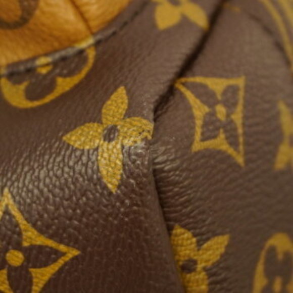 Louis Vuitton Monogram Reverse Palm Springs Backpack - Picture 9 of 10